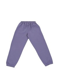 Purple sweatpants with an elastic waistband and fitted cuffs. Made from soft fabric, featuring a smooth texture and simple design.