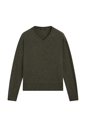 Maglione verde scuro, design a V, maniche lunghe, polsini e orlo a coste, texture morbida, realizzato in tessuto lavorato a maglia. Adatto per abbigliamento casual.