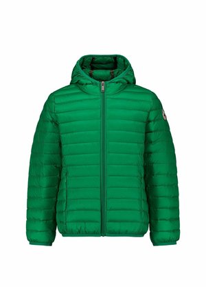 TROPICALE HUGO - Daunenjacke - verde