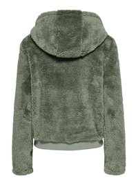 Veste en fausse fourrure vert doux, dotée d'une capuche, de manches longues et d'un ourlet côtelé. Texture douce avec une coupe légèrement courte.