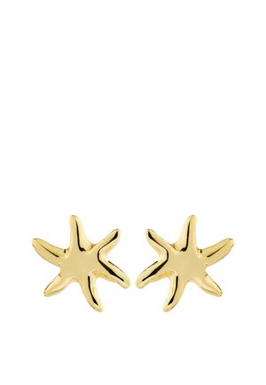 Pair of shiny gold starfish-shaped stud earrings on a white background, showing irregular, smooth textured arms.