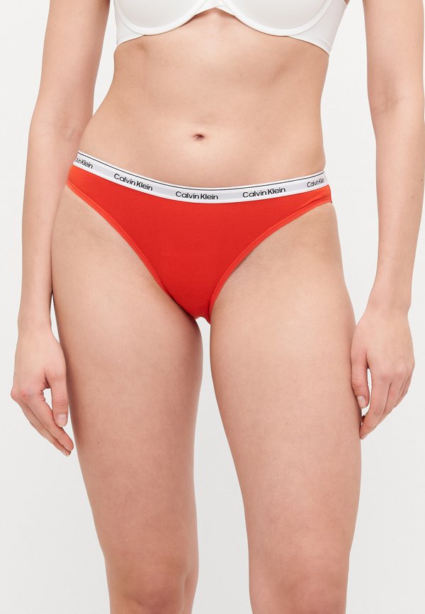 BIKINI 5 PACK ICON LOGO - Briefs4