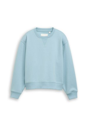 Hellblaues Sweatshirt mit Rundhalsausschnitt, langen Ärmeln und Rippenbündchen an Ärmelenden und Saum, flach auf weißem Hintergrund liegend.