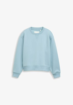 Hellblaues Sweatshirt mit Rundhalsausschnitt, langen Ärmeln und Rippenbündchen an Ärmelenden und Saum, flach auf weißem Hintergrund liegend.