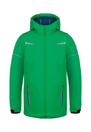 Leuchtend grüne Outdoor-Jacke mit Reißverschluss vorne, verstellbarer Kapuze, silbernen Akzenten und zwei Seitentaschen. Hergestellt aus wasserabweisendem Material.
