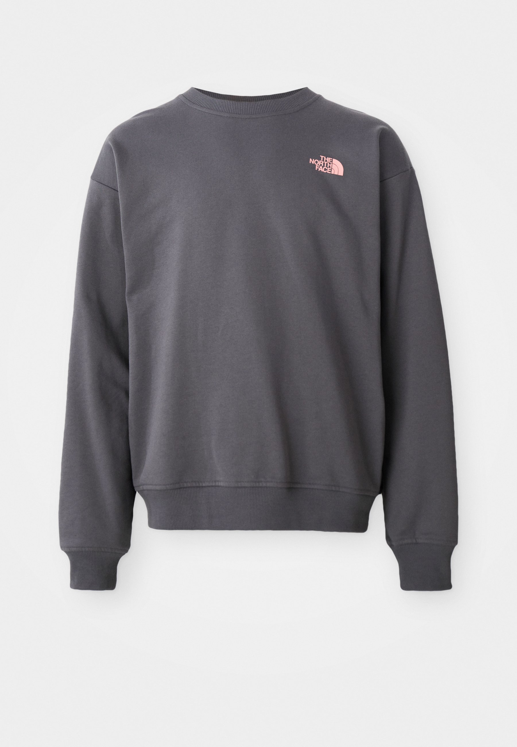 The North Face EXPEDITION CELEBRATION OVERSIZED CREW GRAPHIC