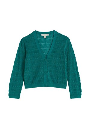 Žalsvai mėlynas trumpintas kardiganas su trimis sagomis, ilgomis rankovėmis, V formos iškirpte ir tekstūruotu megztu raštu visoje medžiagoje.