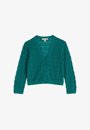 Tehlový zelený krátky kardigán s tromi gombíkmi, dlhými rukávmi, výstrihom do V a textúrovaným pleteným vzorom po celej ploche.