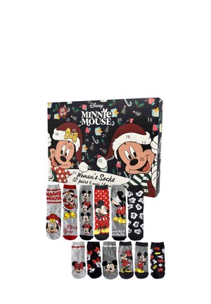 MINNIE MOUSE ADVENT CALENDAR - 12 PACK - Calze - mehrfarbig