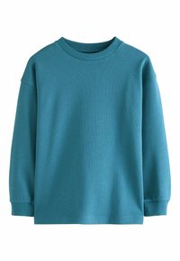 Teal sweatshirt med rund halsringning, långa ärmar och ribbade muddar. Slät textur, avslappnad design, minimal sömnadsdetalj.