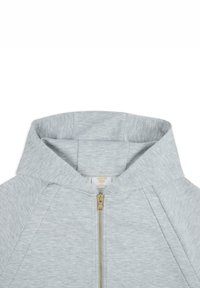 Sudadera con cremallera de color gris claro y capucha incorporada, cremallera dorada y tejido sutilmente texturizado. Cuenta con mangas raglán y un acabado suave y aterciopelado.