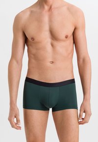 Hanro MICRO TOUCH - Calzoncillos - fir forest