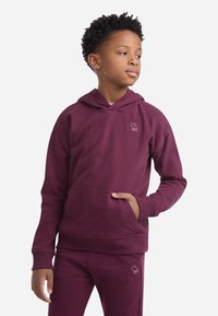 Abercrombie & Fitch ESSENTIALS - Melegítőfelső - fig