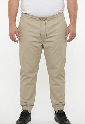 SLIP-ON FLEXLASTIC ELASTICATED WAIST UP TO 8 XL - Broek - sand