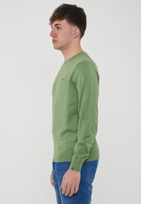 Maglione verde a maniche lunghe con colletto a girocollo, polsini e orlo a coste. Presenta un semplice logo verde scuro sul petto. Indossato con jeans blu.