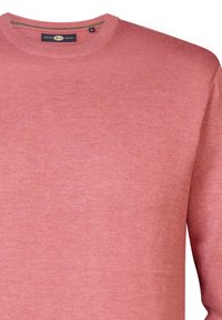 Petrol Industries Trui - cedar wood