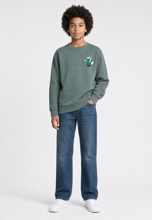 Petrol Industries, RELAXED GRAPHIC SWEATSHIRT IRONBROOK - Sudadera - steel green