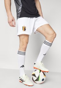 adidas Performance BELGIUM RBFA - Krótkie spodenki sportowe/biały ...