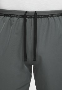 Nike Performance Pantaloncini sportivi - iron grey/black