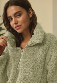 Next HALF ZIP - Fleecová mikina - sage green