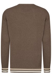 Maglione a maglia marrone con un motivo testurizzato, scollo rotondo e polsini a righe in crema e beige. La vista posteriore mostra un design monocolore.