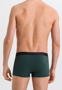 Hanro MICRO TOUCH - Calzoncillos - fir forest