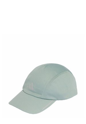 RUN CC - Pet - sage/reflective silver