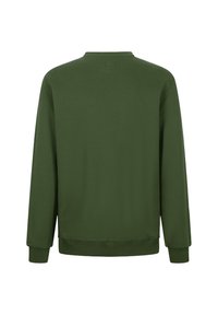 Sudadera verde de manga larga, cuello redondo, hecha de una tela suave. Presenta puños y dobladillos acanalados, textura suave y un diseño minimalista.