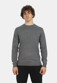 Pullover grigio a maniche lunghe realizzato in tessuto morbido, con scollatura rotonda e un logo discreto sul petto.