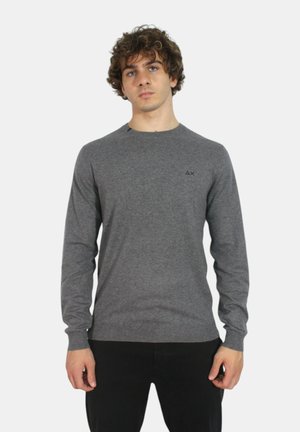 Pullover grigio a maniche lunghe realizzato in tessuto morbido, con scollatura rotonda e un logo discreto sul petto.