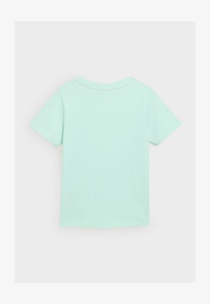 Mint green short-sleeve t-shirt made of soft cotton. Features a round neck and a straight cut, with no visible patterns or accents.