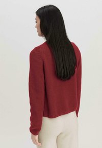 Roter gestrickter Pullover mit verkürztem Design, langen Ärmeln und gerippter Textur. Über hellen Hosen getragen, zeigt er eine entspannte Passform von hinten.
