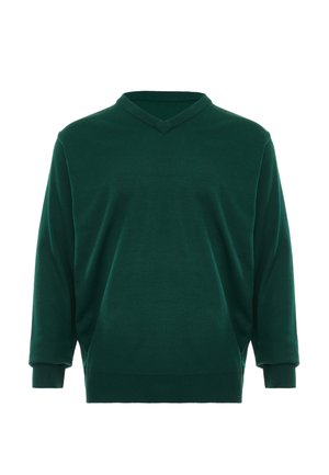 Dunkelgrüner Langarm-Pullover mit V-Ausschnitt sowie gerippten Bündchen und Saum, auf weißem Hintergrund präsentiert.