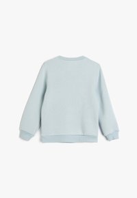 Sudadera azul claro con mangas largas, cuello redondo y puños y dobladillo acanalados. Textura suave y diseño sencillo. Vista trasera mostrada.