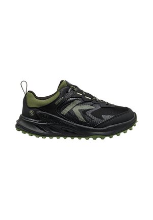 Schwarzer und grüner Sportschuh mit Schnürung, Mesh-Einsätzen, profillierter Sohle und Zuglasche an der Ferse für den Einsatz im Freien oder auf Trails.
