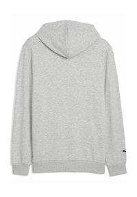 Sweatshirt griș cu glugă, dintr-un amestec de bumbac, textură moale, cu manșete și tiv cu aspect côt, având un logo mic pe mâneca stângă. Vedere din spate afișată.