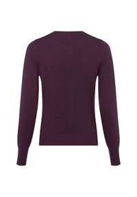 Burgunderfarbener Pullover mit langen Ärmeln, rundem Ausschnitt und gerippten Bündchen. Weicher Textil und taillierte Passform, mit einem klaren, nahtlosen Rücken.