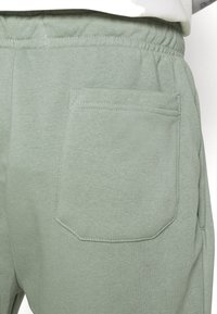Brave Soul TARLEY - Shorts - mint green
