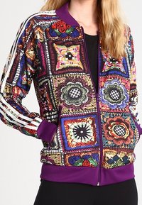 adidas Originals Träningsjacka - multi-coloured