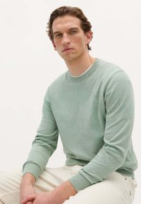 Hellgrüner Baumwollpullover mit Rundhalsausschnitt und langen Ärmeln sowie gerippten Bündchen, getragen über einem weißen T-Shirt, kombiniert mit hellen Hosen.