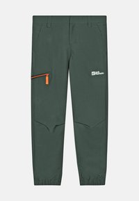 Jack Wolfskin TURBULENCE  - Pantalones montañeros largos - slate green