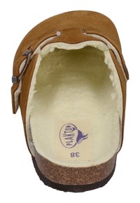 Brown suede clog with beige inner lining, featuring a strap and buckle detail. Cork midsole and rubber outsole. Size 38 label visible.