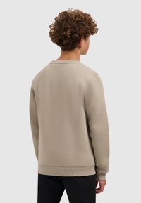 Beige sweatshirt met een ronde halslijn, ribgebreide cuffs en onderrand, zachte textuur en een eenvoudig design. Weergegeven vanuit de achterkant.