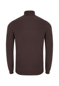 Brązowy sweter z długim rękawem i stójką o ribbowym wykończeniu. Charakteryzuje się gładką teksturą i dopasowanym krojem.