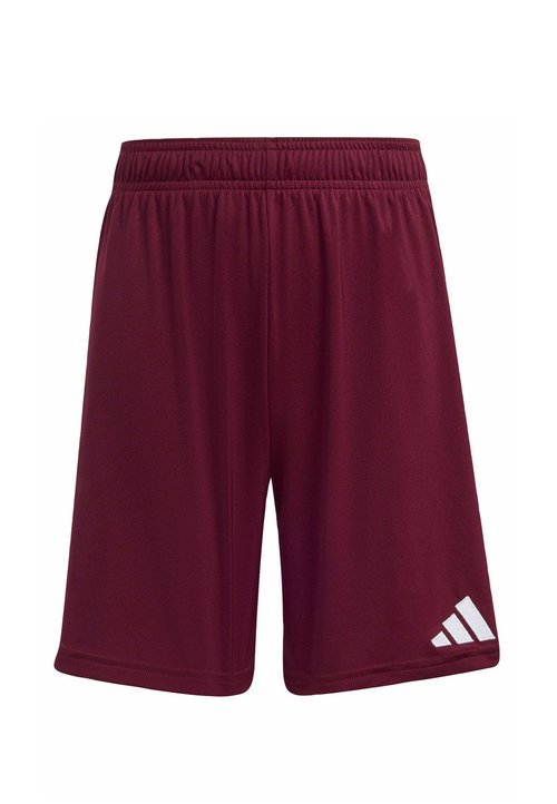 adidas PERFORMANCE ENTRADA26 SHORTS KIDS UNISEX - Pantalón corto de deporte - team maroon white — photo 4