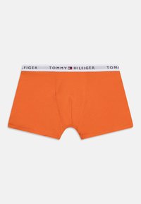 Tommy Hilfiger TRUNK 7 PACK - Püksid - desert sky/minty/orange