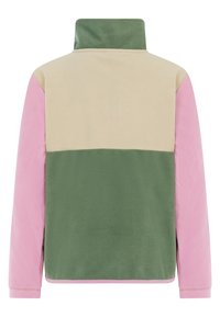 Fleece pullover met hoge kraag, met een kleurblokontwerp in beige, groen en roze. Zachte textuur met lange mouwen. Achteraanzicht.