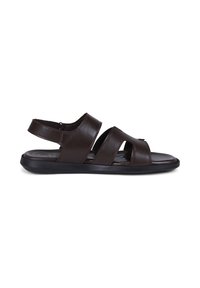 Dark brown leather sandal with two wide front straps and a back strap over a flat black sole.
