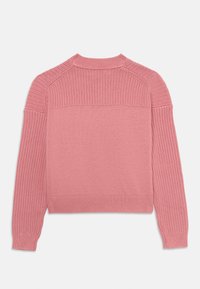 Calvin Klein Jeans MONOLOGO SWEATER - Vesta - brandied apricot