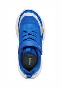 Basket de sport pour enfants bleu et argent avec des lacets, une sangle Velcro, un col rembourré et une semelle blanche, vue de dessus montrant la marque Geox et la semelle intérieure respirante.